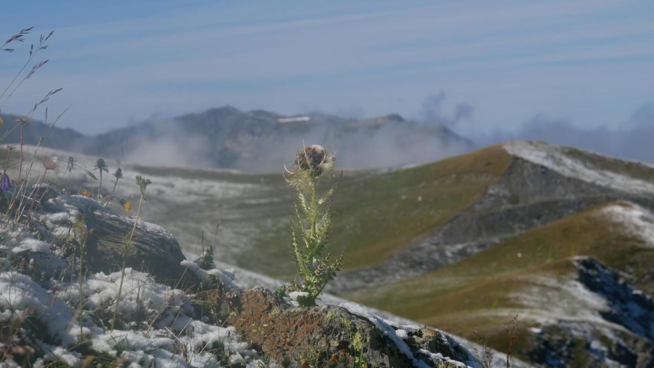 Les Arcs Le Prince Des Cimes公寓 外观 照片